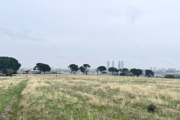 FCC Construcción participates in a visit to the Bosque Metropolitano project