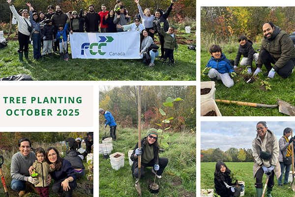 The FCC Canada team participates in a tree planting day in Toronto