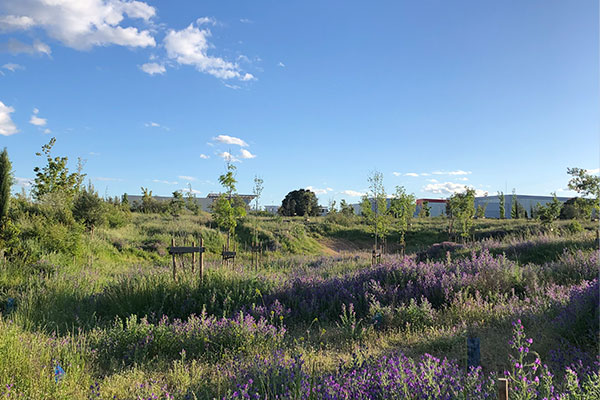 FCC Construcción takes part in meeting of the Academy of Landscape