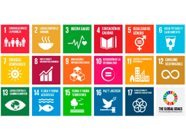 FCC Construcción participates in the forum "The dimension of disability in the sustainable development goals of the United Nations" organized by Foro Inserta