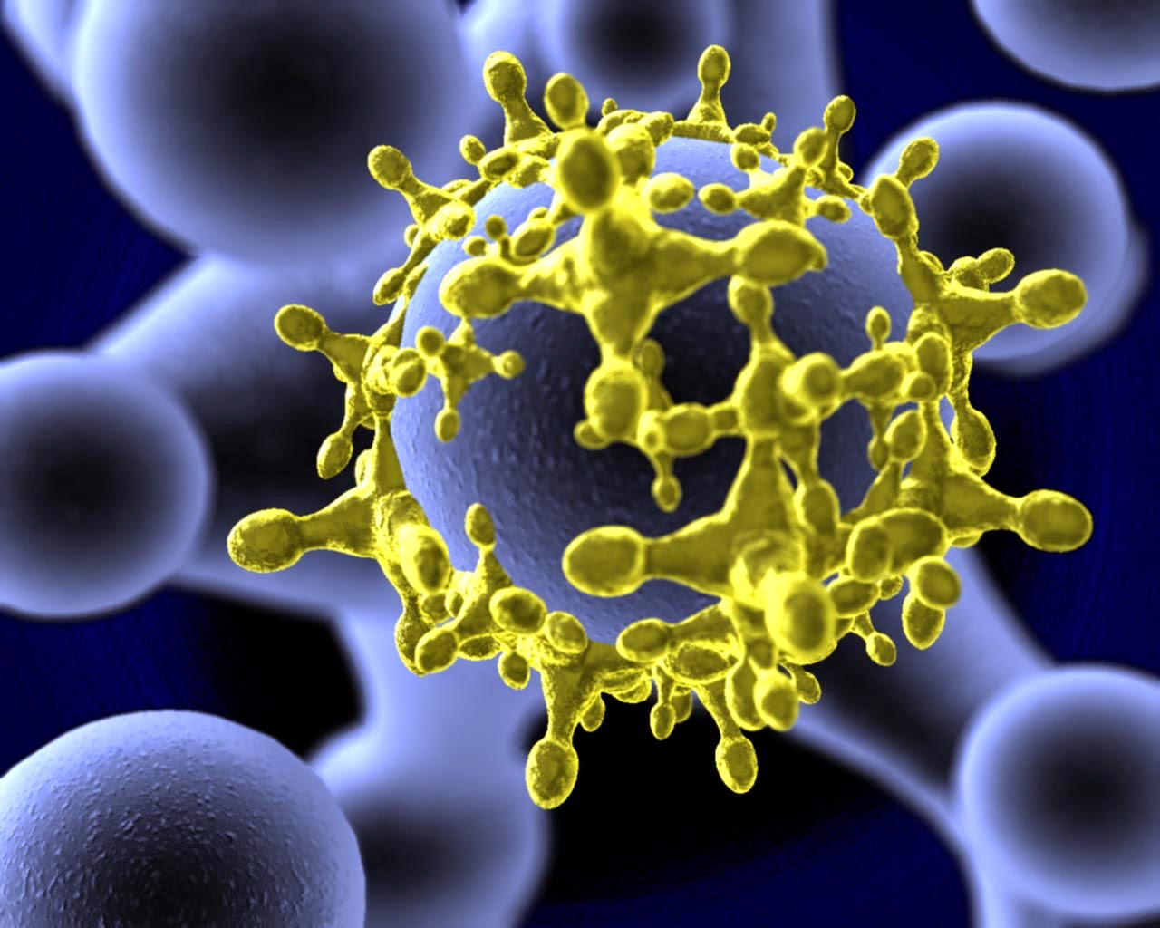 Information on the Zika virus