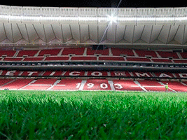 Wanda Metropolitano stadium, built by FCC, to host the 2019 Champions League final