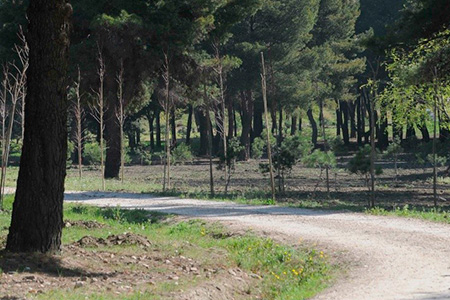 The Vice Mayor visits the Metropolitan Forest executed by FCC Construcción
